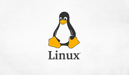 Pertemuan 6 : Video Linux