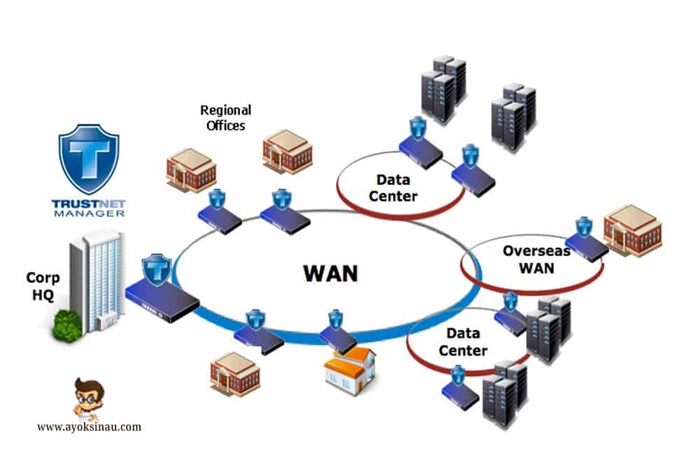 wan network